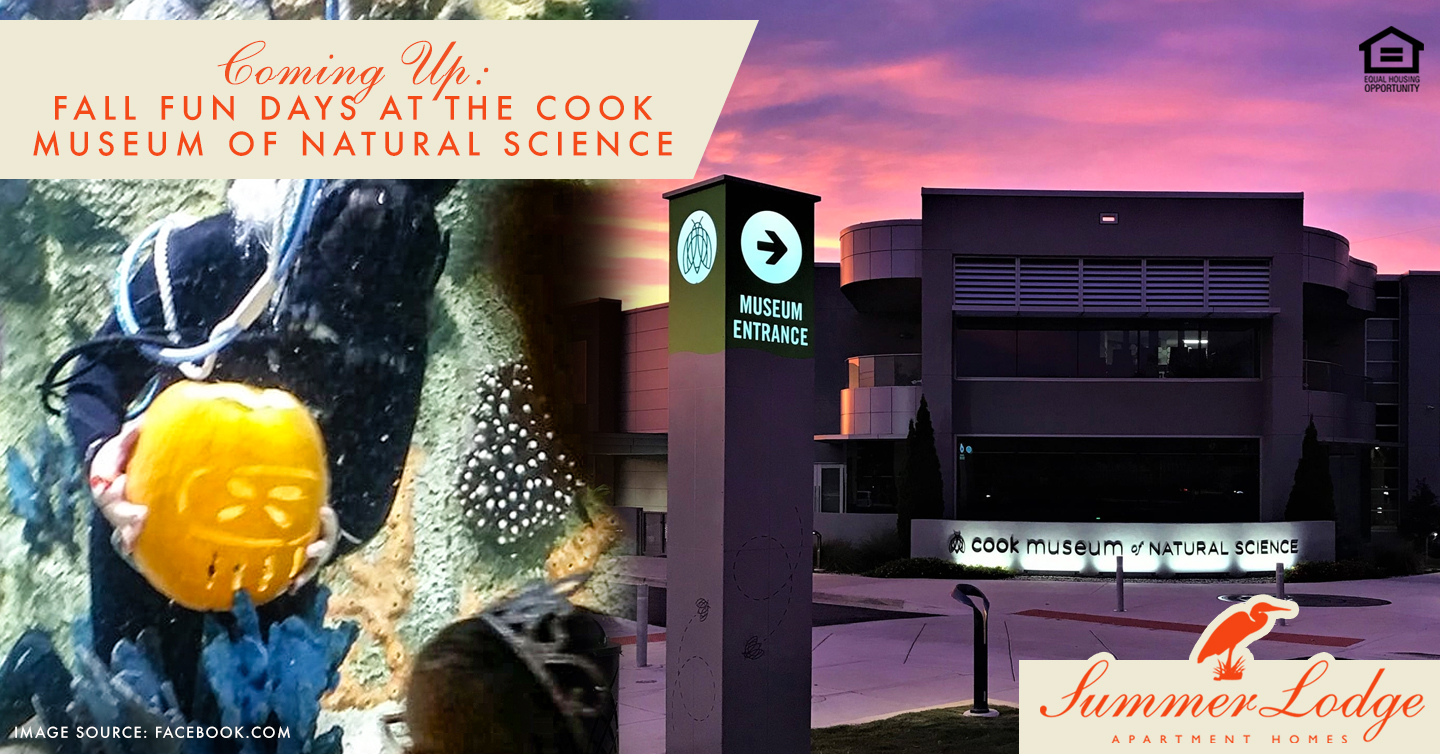 Fall Fun Days at the Cook Museum of Natural Science